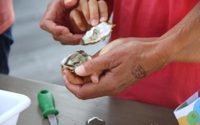 Initiation à l'ouverture d'une huître