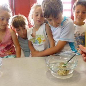 Atelier mer et sciences pour les enfants