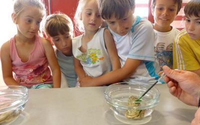Atelier mer et sciences pour les enfants