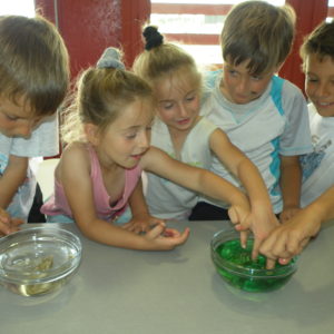 Animations enfants ateliers pédagogiques