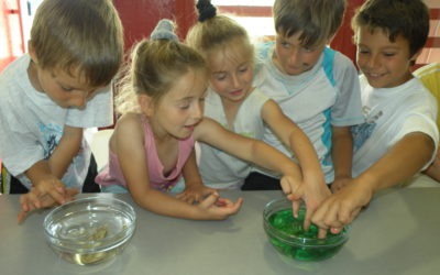 Animations enfants ateliers pédagogiques